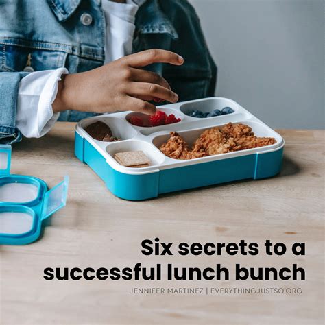 What is Lunch Bunch and How to Use it — everything just so | What is Lunch Bunch and How to Use ...