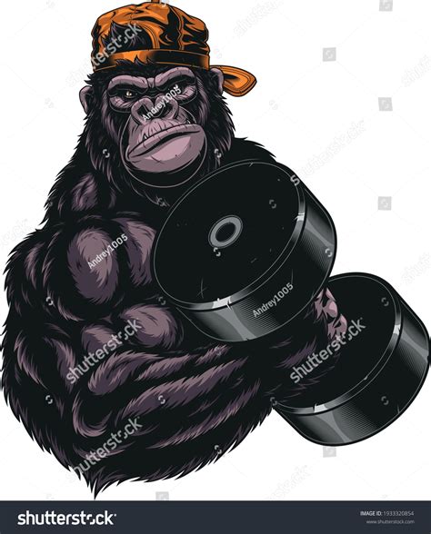 "Gorilla gym" - 856 Ảnh, vector và hình chụp có sẵn | Shutterstock