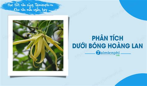 Phân tích Dưới bóng hoàng lan của Thạch Lam - Văn mẫu lớp 10 có dàn ý