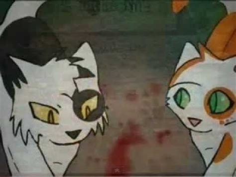 Swiftpaw and Brightpaw - YouTube