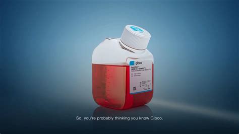 Gibco | Thermo Fisher Scientific - US