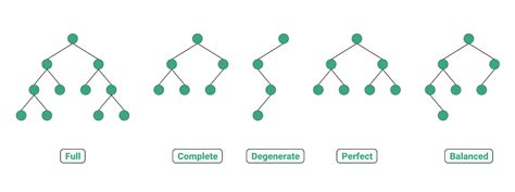 Different Types of Binary Tree with colourful illustrations | by Anand K Parmar | Towards Data ...