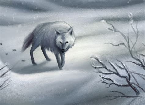 The Winter Wolf on Behance