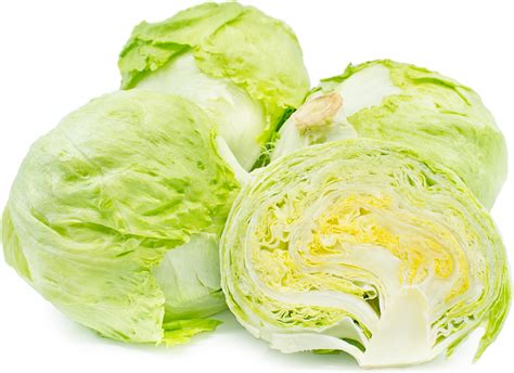 Iceberg Lettuce Information and Facts