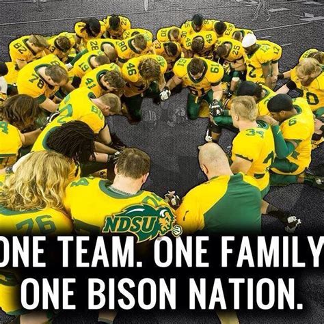 Pin by Maureen Knoll on NDSU Bison Football | Ndsu bison football, Ndsu bison, Bison football