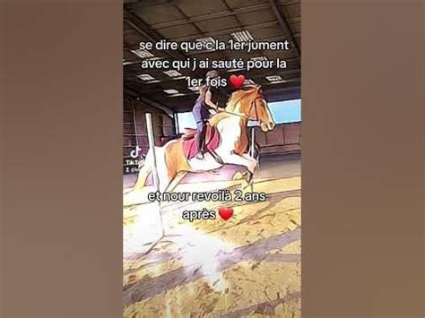 Meme cheval - YouTube