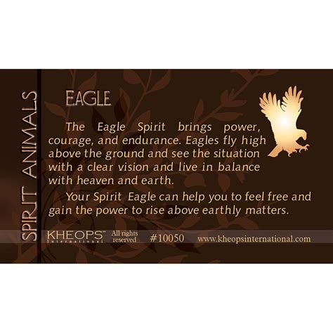 Spirit Animal Info Card Eagle (each): Kheops International