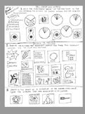 Meiosis Coloring Sheet Teaching Resources | Teachers Pay Teachers