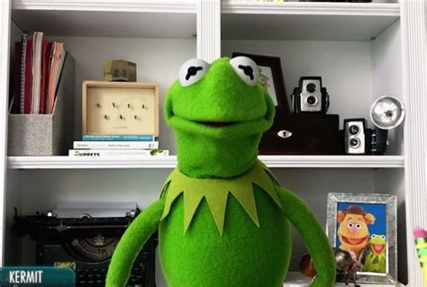 Muppets Now Kermit