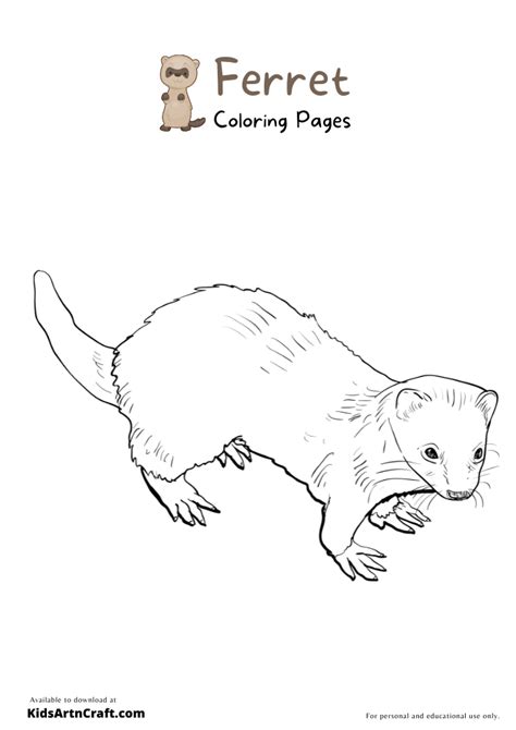 Ferret Coloring Pages For Kids – Free Printables - Kids Art & Craft