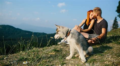 Dog Friendly Cabins Asheville, NC