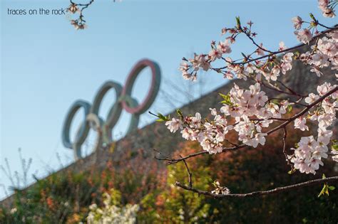 Cherry Blossom in Nanjing » Traces On The Rock