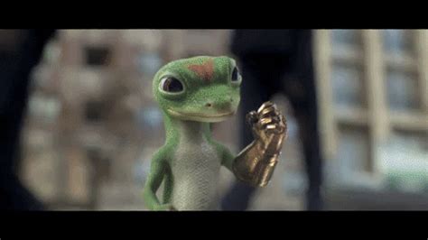 Geico Gecko GIFs - Find & Share on GIPHY