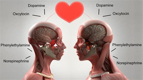 love chemistry | Born Realist