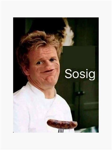 "Gordon Ramsay meme" Sticker for Sale by victoriaa3 | Redbubble