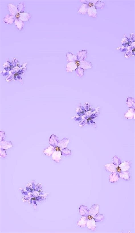 [100+] Aesthetic Purple Flower Wallpapers | Wallpapers.com