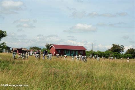 Un campo - Imagui