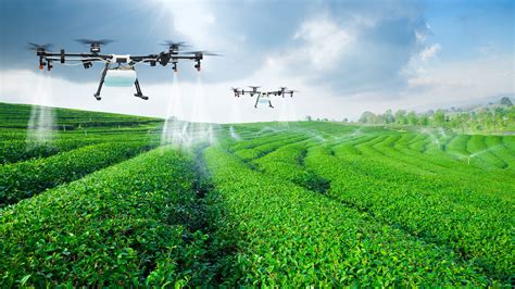 Agricultural robots and drones: the long-term technological needs | SciTech Europa