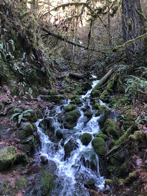 Silver Falls State Park and the Trail of 10 Falls — Otherworld Travels