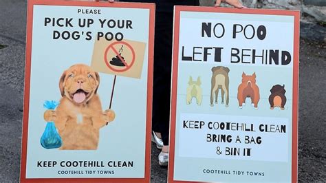 New anti-dog fouling signs for Cootehill | Anglo Celt