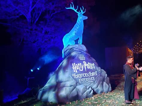 Discover Magical Creatures at the 'Harry Potter: A Forbidden Forest' Experience - Parade ...