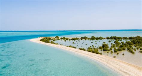 Farasan islands, Saudi Arabia - Ultimate guide (December 2024)