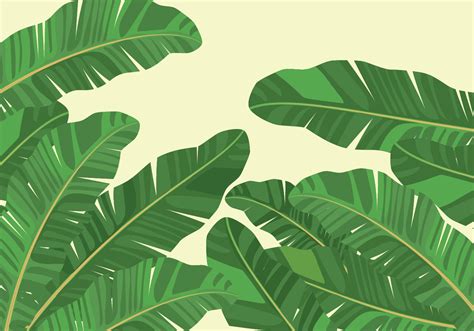 Banana Leaf Background 245854 Vector Art at Vecteezy