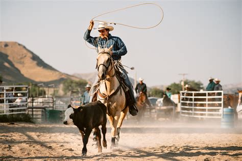 Calf roping has no place in 21st century Australia, says RSPCA - Pet ...