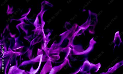 Purple fire flames on a black background Stock Photo | Adobe Stock