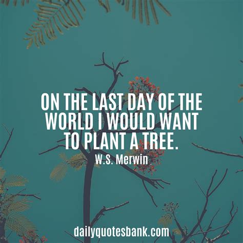 Plantation04: Tree Plantation Quotes / 30 Tree Plantation Quotes to Inspire the Environmentalist ...