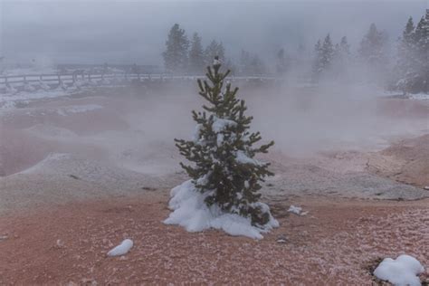 Yellowstone National Park Winter Pictures + Travel Guide - PhotoJeepers