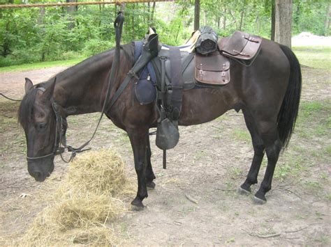 Union Cavalry in Pitzer's Woods | Gettysburg Daily