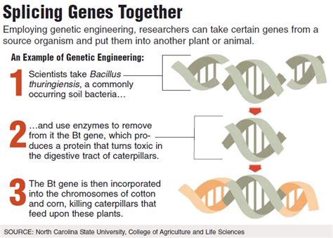 shokai blog: What is gene splicing?