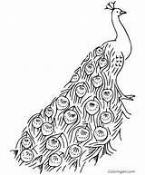 25 Free Peacock Coloring Pages For Kids And Adults sketch template