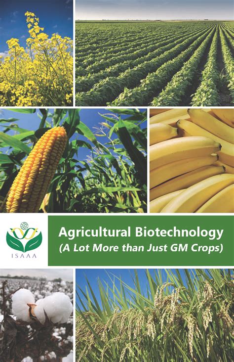 Agricultural Biotechnology (A Lot More than Just GM Crops) - ISAAA ...