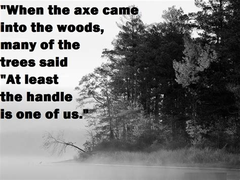 Into the Woods Quotes. QuotesGram