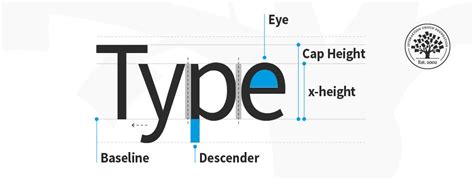 What Is Type Anatomy? | IxDF