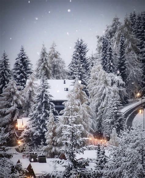 Pin by Elizabeth Normandie on In Winter. | Winter wonderland, Winter scenes, Snowy day