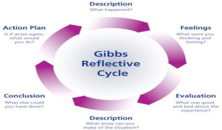 The 6 Stages Of Gibbs Reflective Cycle- A Complete Guide - DigitalGpoint