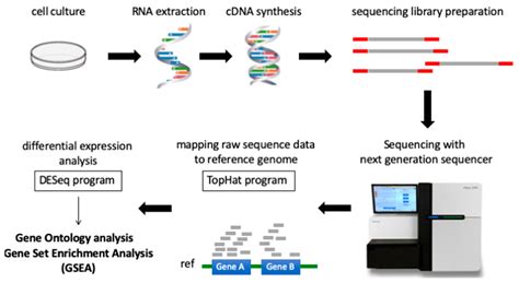 Next Generation Sequencing Workflow