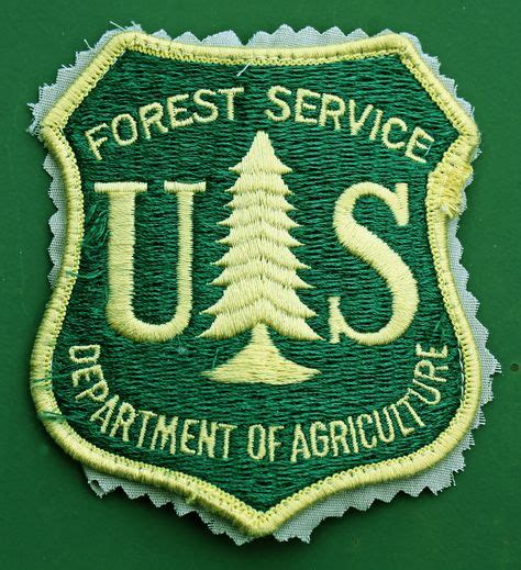 US Forest Service Patch | Forest service, Us forest service, Patches