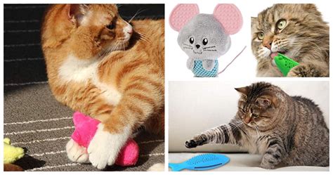 Your Little Kitten Will Love These Teething Toys - JammieCat.com