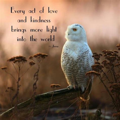 Kindness! | Inspirational animal quotes, Owl quotes, Act of kindness quotes