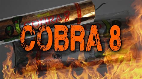 Cobra 8 | fireworks - YouTube