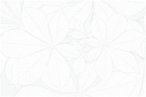 Free Photo | White flower textured background design