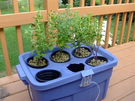 Getting Started With Hydroponics Gardening-The Basics of Growing Hydroponic Garden Plants ...