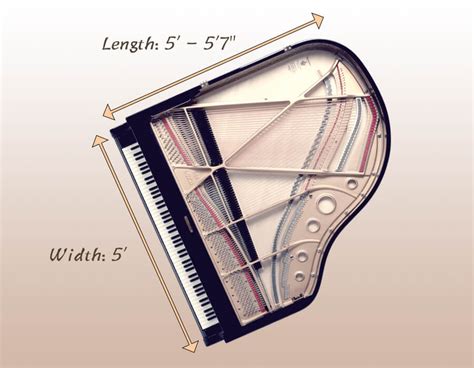 Baby Grand Piano Dimensions - Measuring a Piano