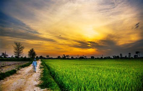 Serene Sunset in Pakistan: A 4K Ultra HD Countryside Landscape