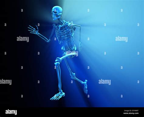 Human skeleton running hi-res stock photography and images - Alamy