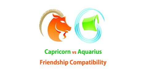 Capricorn and Aquarius Friendship Compatibility